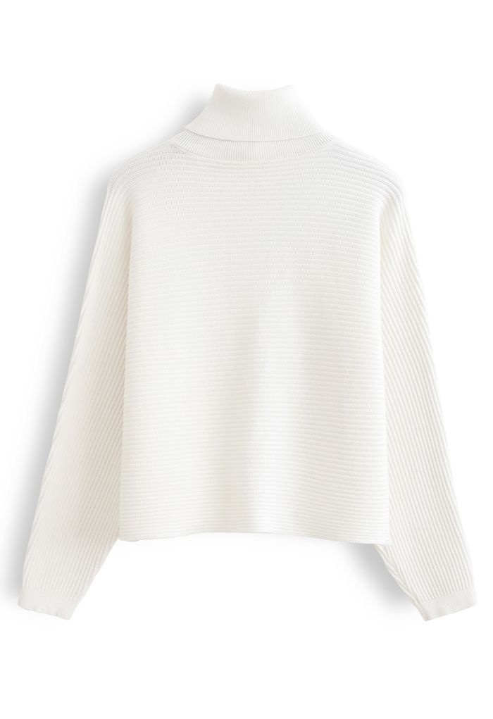 Basic Rib Knit Cowl Neck Crop Sweater in White