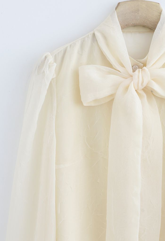 Transparentes Button-Down-Hemd mit Bowknot in Creme